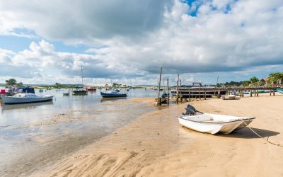 Arcachon : Le Secret Des Dunes Qui Cachent Un Trésor