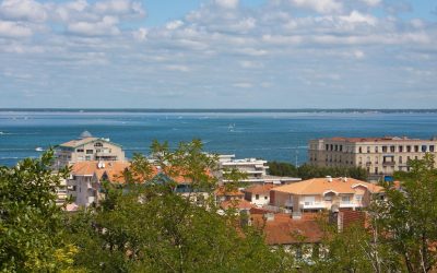 Arcachon : Le Paradis Inconnu des Espèces Menacées