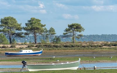 Arcachon : Le Mystère de la Ville Forteresse Oubliée