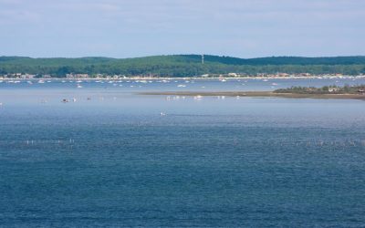 Arcachon : Les Secrets Inavoués des Villas Enchantées