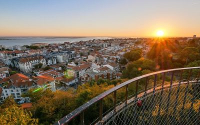Arcachon : L&rsquo;île Invisible qui Façonne son Écosystème