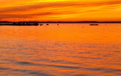 Arcachon : Le Secret des Dunes qui Changent de Place