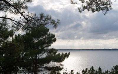 Arcachon, la légende oubliée : l&rsquo;Atlantide française