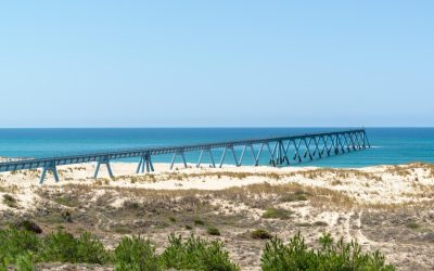 Exploration des Fonds Marins : Une Richesse Insoupçonnée