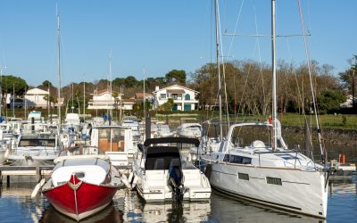 Arcachon : La capitale secrète du caviar français