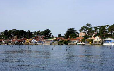 Arcachon : Sous la Surface Propre de Son Bassin