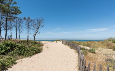 Arcachon et la Légende des Villas Disparues : Voyage au Cœur des Mystères Immobiliers