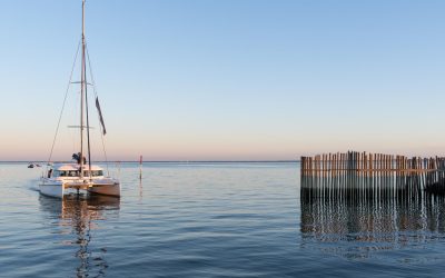 Les Secrets Cachés des Dunes du Pyla : Quand la Nature Dépasse la Fiction