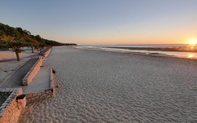 Arcachon : La Face Cachée des Villas Abandonnées