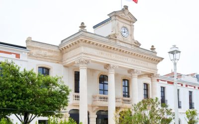 Arcachon : Secrets de sa Forêt Enchantée Révélés