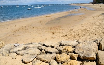 Arcachon : La Face Cachée des Huîtres