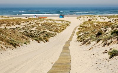 Arcachon : La Rivalité Cachée Avec le Bassin d&rsquo;Arcachon