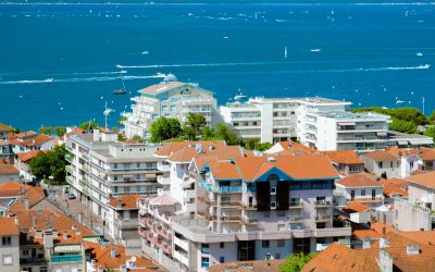 Arcachon : Le Paradis Secret des Hippocampes