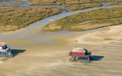 Arcachon, l’oasis secrète des investisseurs immobiliers : Ce que personne ne vous dit