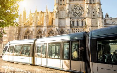 Bordeaux : Quand la Vinification Dévoile Ses Secrets Ancestraux