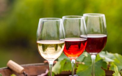 Bordeaux : Derrière les Vignes, la Révolution Clandestine de la Gastronomie