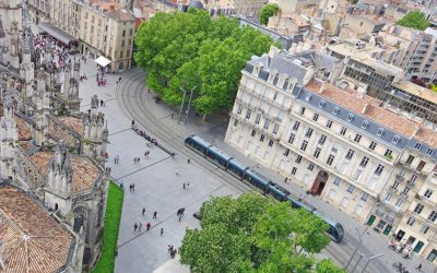 Bordeaux : Quand le Vin Dit Tout sur Notre Santé Mentale