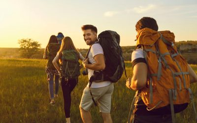 La Face Cachée de la Location : Secrets que les Propriétaires Ne Vous Révèlent Jamais