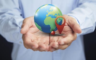 Voyagez Autrement : Comment les Animaux Choisissent Vos Destinations !